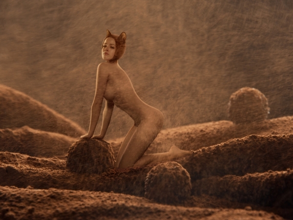 Photograph Elena Vizerskaya Cacao Desert on One Eyeland